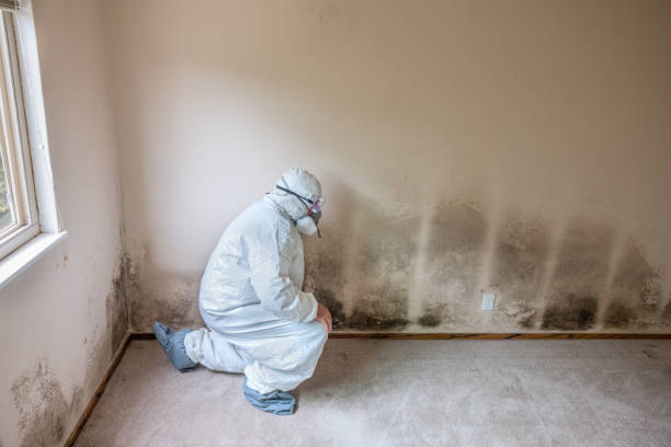 Best HVAC Mold Inspection and Cleaning  in Booker, TX